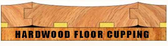 Hardwood Floor Cupping – Crawlspace Moisture Problems