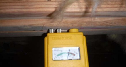 Crawl Space Encapsulations. The Truth About Indoor Air Quality & Wood Moisture Levels.